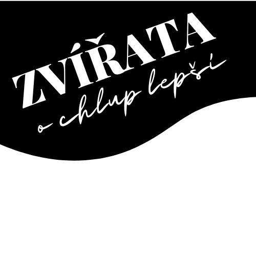 ZVÍŘATA