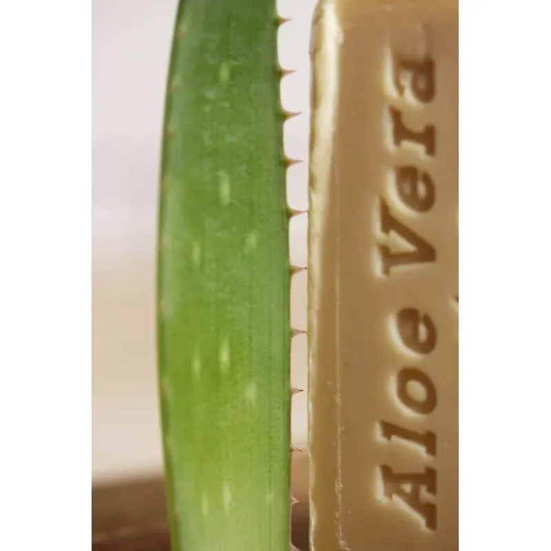 Knossos Olivové mýdlo Aloe vera