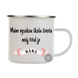 Plecháček Mám vysokou školu života, můj titul je máma