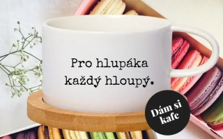 Šálek makronka Pro hlupáka každý hloupý